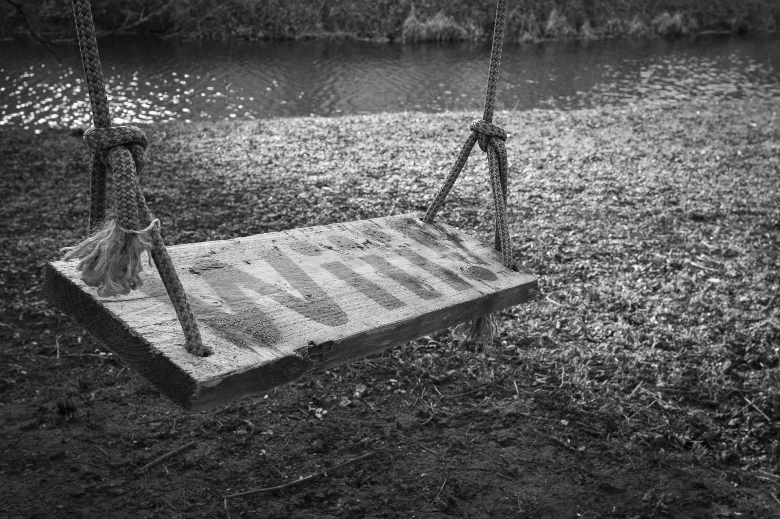 Wallpaper : fuji, fujifilm, x100, finepix, fujinon, 23mm, 7dwf, closeup