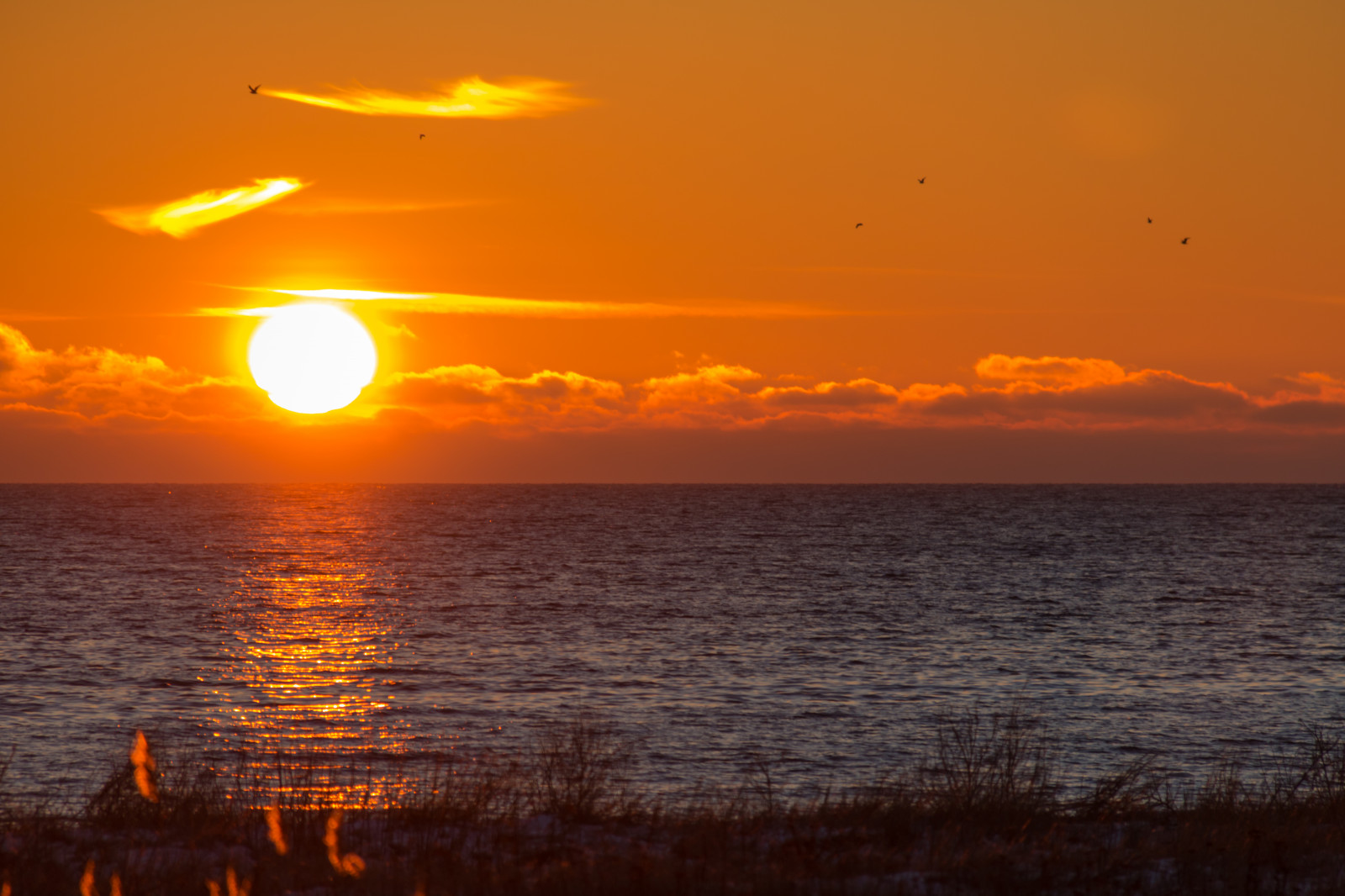 luce del sole, tramonto, mare, riflessione, inverno, Alba, sera, mattina, costa, Sole, orizzonte, crepuscolo, nube, alba, oceano, onda, solnedg ng, Vinter, HAV, Trelleborg, kust, v strasm b tshamnen, ultimi bagliori, cielo rosso al mattino