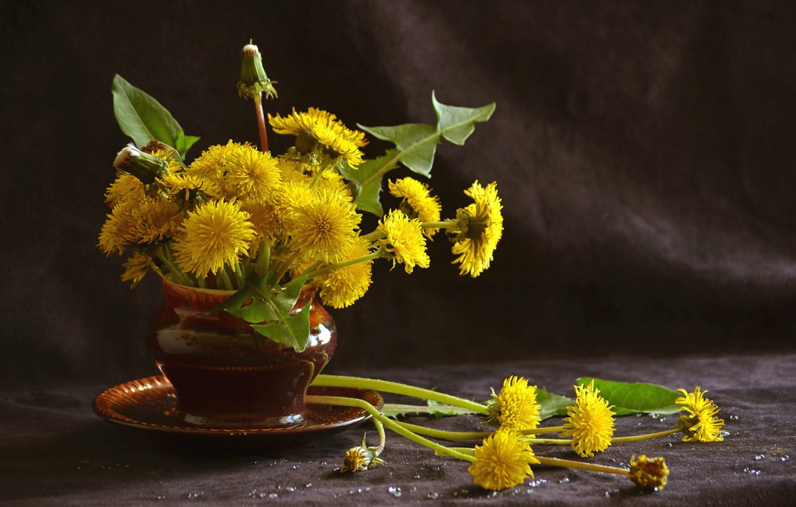 květiny, zelená, žlutý, UMĚNÍ, podzim, list, květ, rostlina, flóra, ikebana, vyrobit, suchozemská rostlina, kvetoucí rostlina, makro fotografie, floristika, stálý život, zátiší fotografování, aranžování květin, květinový vzor, 1920x1225 px