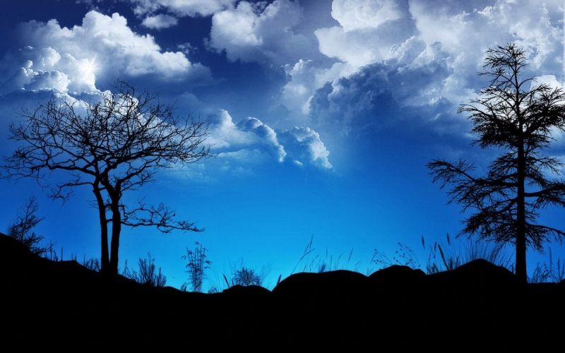 sunlight, trees, nature, sky, landscape, clouds sunlight, trees, nature, sky, landscape, clouds