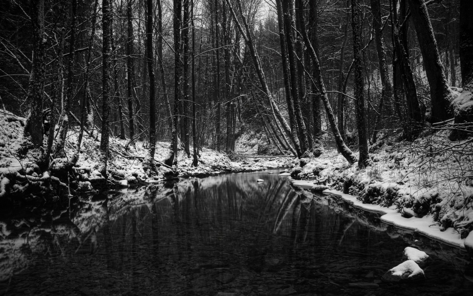 Wallpaper wood, stream, snow, trees, black and white, autumn, late