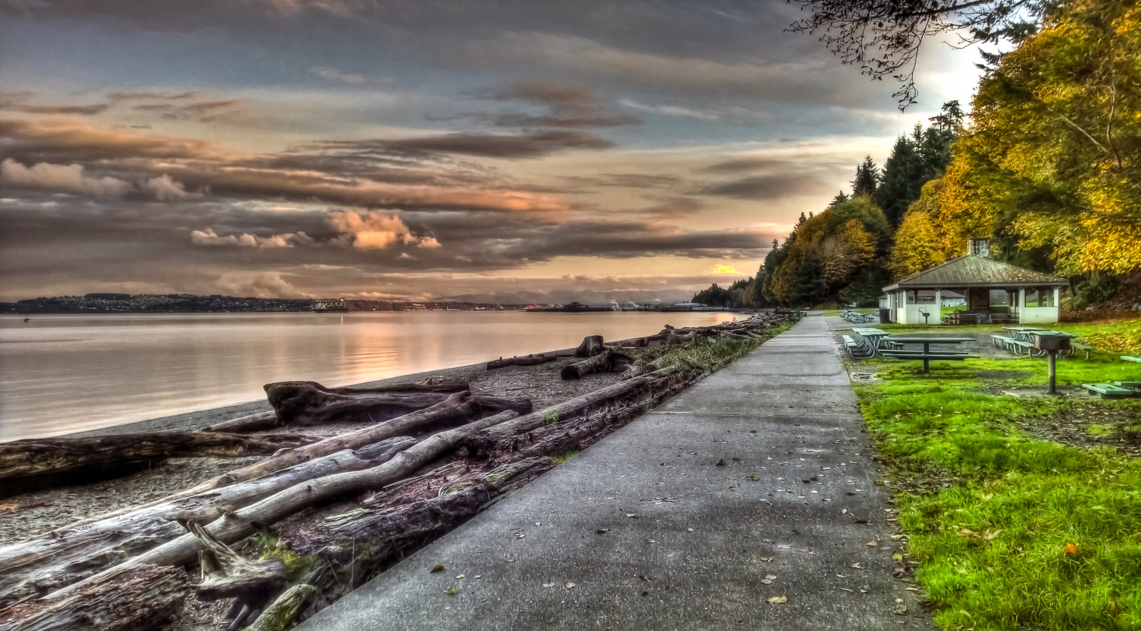 park, podzim, stromy, pláž, trajekt, mraky, bod, washington, loď, nábřeží, náklad, kontejner, naplavené dříví, Tacoma, HDR, Vzdor
