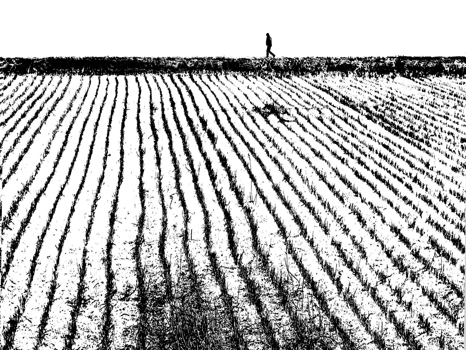 tvář, krajina, kontrast, bílý, Černá, černobílý, oči, pole, fotografování, vzor, svetr, rty, asfalt, Mono, Černý a bílý, dosti, vysoký, prozkoumat, tělesné, usměj se, fotografie, F, prozkoumal, dívej se, tvar, čára, zemědělství, di, upřený pohled, nádherný, foto, persone, bianco, ritratto, nero, monocromo, krk, perfektní, hledět, emotivní, biancoenero, E, fotografický, rameno, paesaggio, emozioni, oříznutí, půda, Černý a bílý, monochromatické fotografování, outdoor struktura, tráva rodina, hrdlo, bianconero, photoday, photoaday, photographis, phothograpia, pretesti, panorami, esplora, Explora, interni, nella, fotoaggiungi, ulteriori, informazioni, impostazioni, Soukromí, visualizzazione, Pubblica, livello, Sicurezza, Sicuro, contrassegna, gorgeou