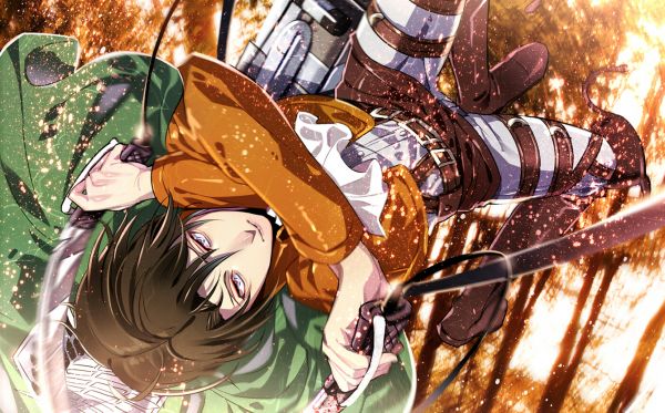anime,Shingeki no Kyojin,ART,comics,mythology,guy