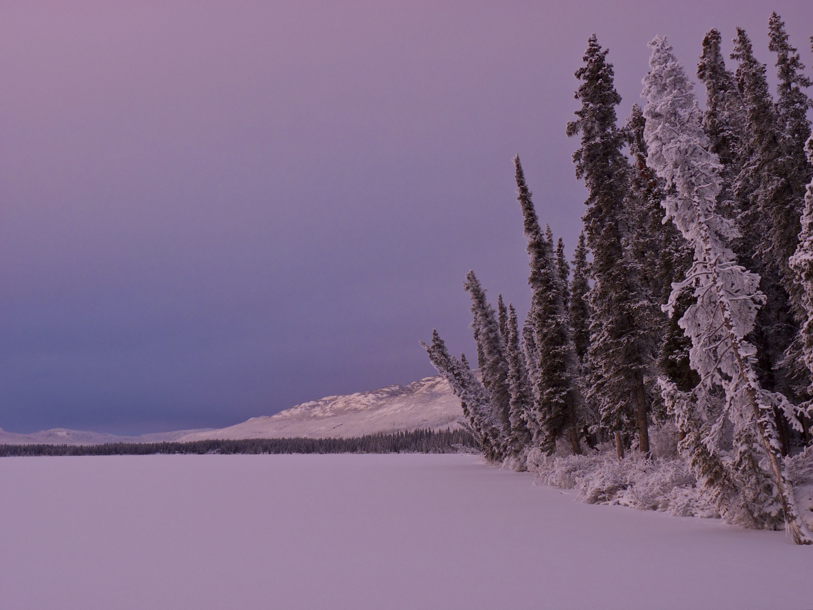 Wallpaper : landscape, sky, snow, winter, ice, evening, morning, frost