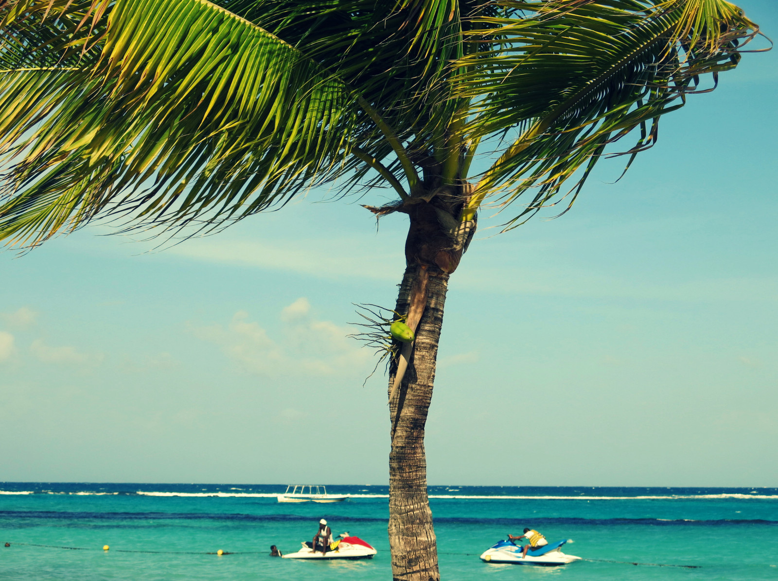 oceán, moře, nebe, lidé, slunce, mer, strom, pláž, voda, listy, Kánon, Soleil, loď, eau, ráj, tyrkysový, dlaň, ciel, Jamaica, karibský, bateau, plage, ráj, palmier, feuilles, Caraibes, Jamajci, G15, Seadoos, Jama que, Motomarines