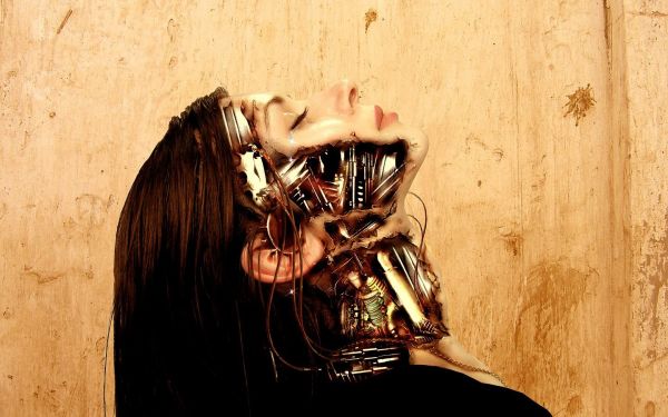 chrám,Černá,robot,Terminator,dřevo,sochařství