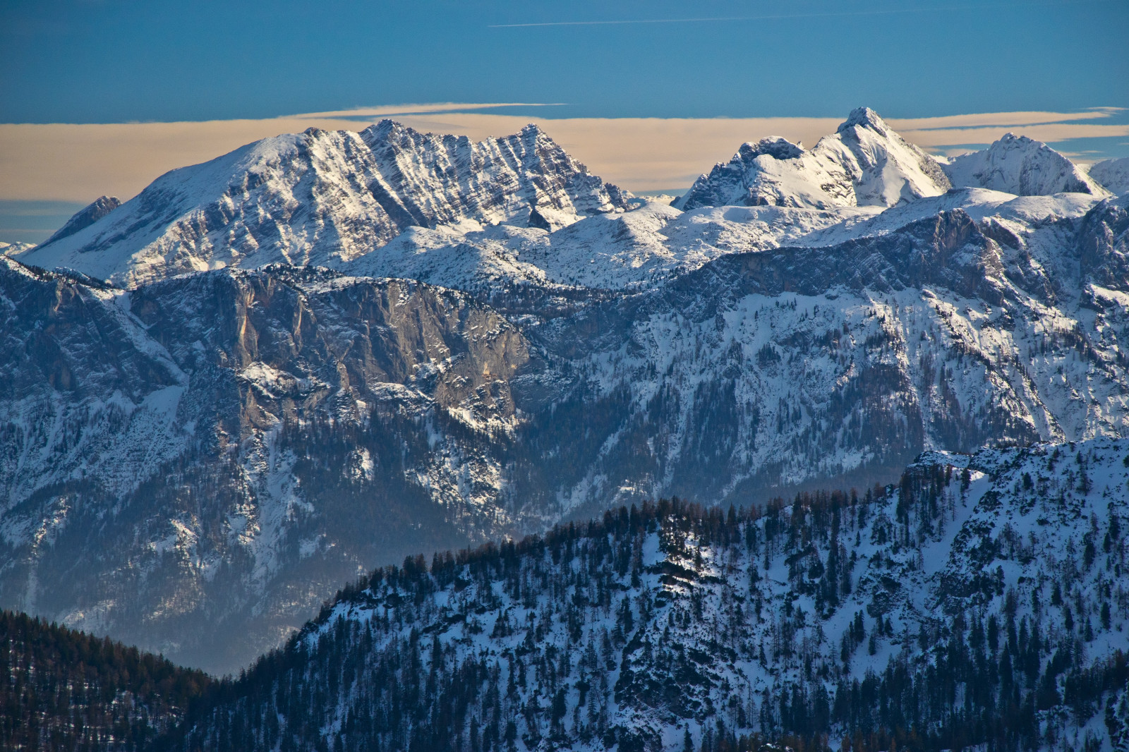 ガーデナルタブレットリーフレット