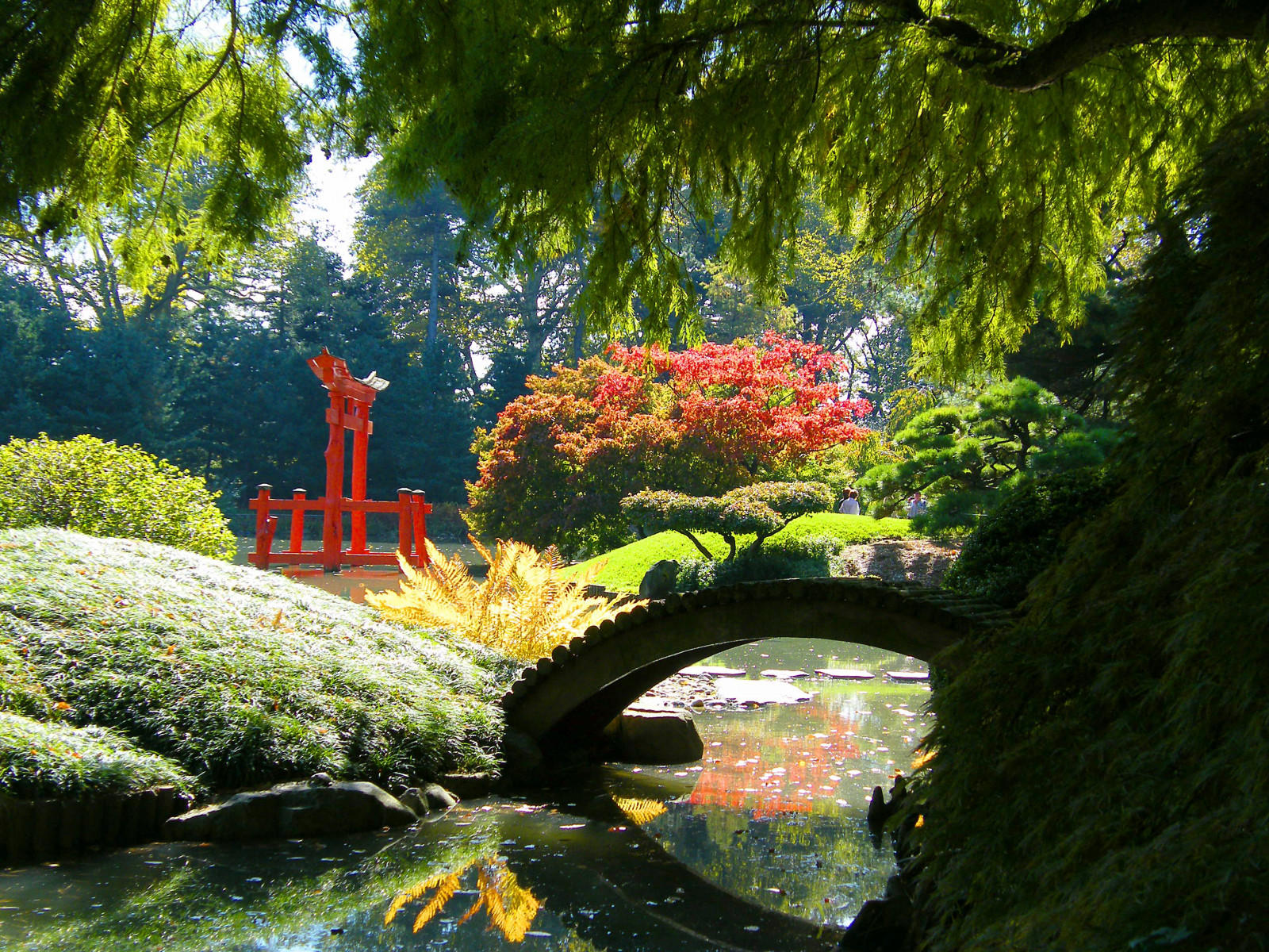 autunno, autunno, giapponese