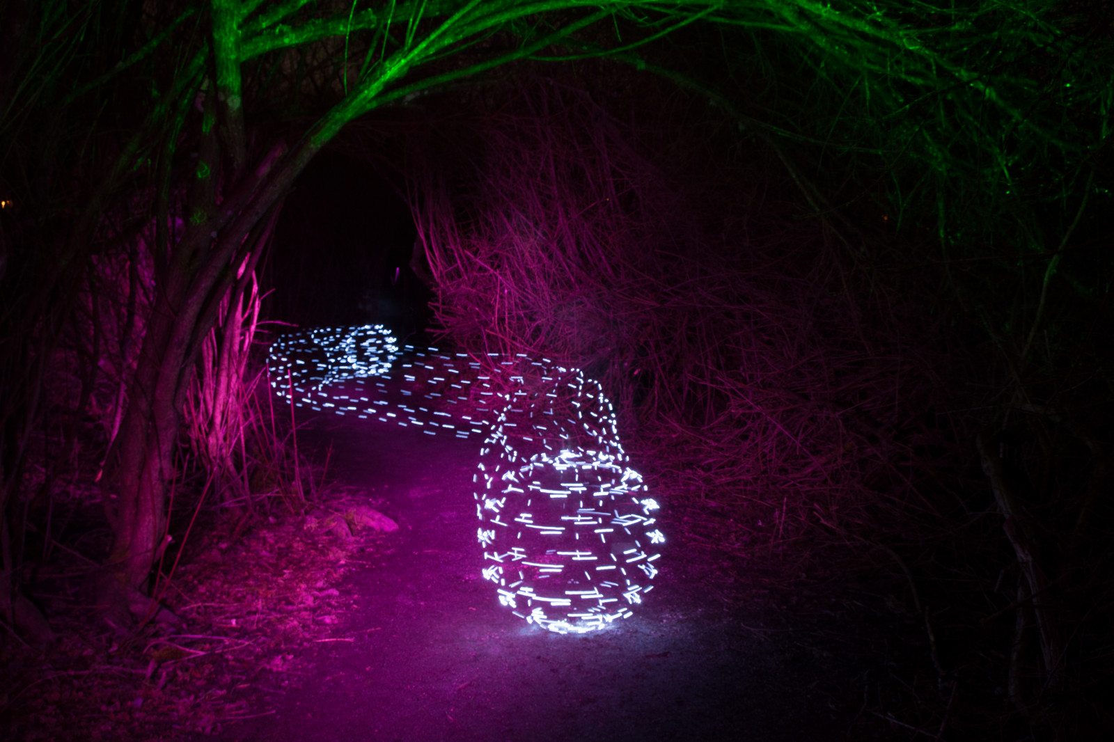 Friedhofsarbeiter, Lichtmalerei, Victoria, abstrakt, KUNST, Ball, Bc, Kanada, Farben, dunkel, Dunklecken, Abend, Lightart, Lightjunkies, Lightpaint, Beleuchtung, Lightscape, Langzeitbelichtung, Lpwalliance, Nacht-, Nacht Lichter, Nightphotography, Nachtlandschaft, draußen, Malerei mit Licht, Pfad, Schwanensee, Bäume, Trippy, Wald, Wurm