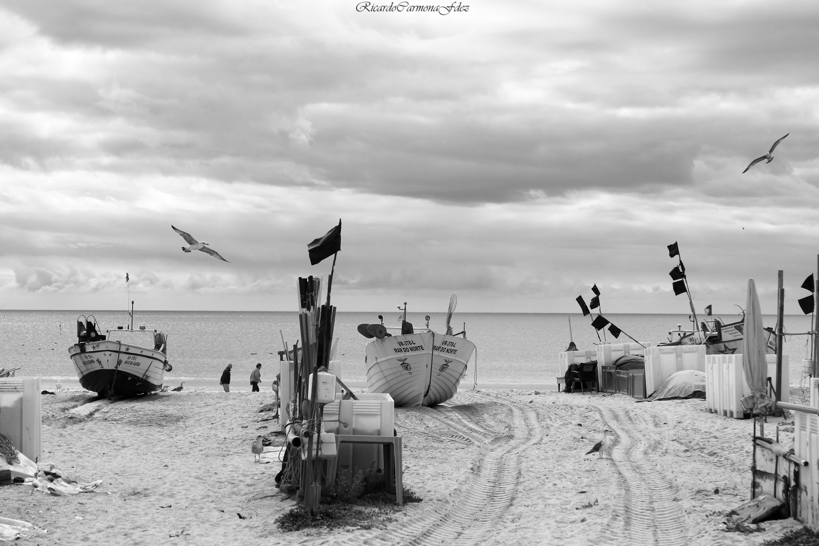 bílý, loď, černobílý, moře, nebe, sníh, zima, vozidlo, mraky, pláž, pobřeží, Kánon, vítr, pobřeží, Portugalsko, Černý a bílý, tělesné, racek, pouliční osvětlení, lodě, cielo, mraky, mar, přímořská krajina, playa, racek, monocromo, blancoynegro, rybář, pouliční lampa, Černý a bílý, monochromatické fotografování, farola, algarve, aparejos, Gaviotas, ricardocarmonafdez, Montegordo, Rigg, botes, embarcaciones