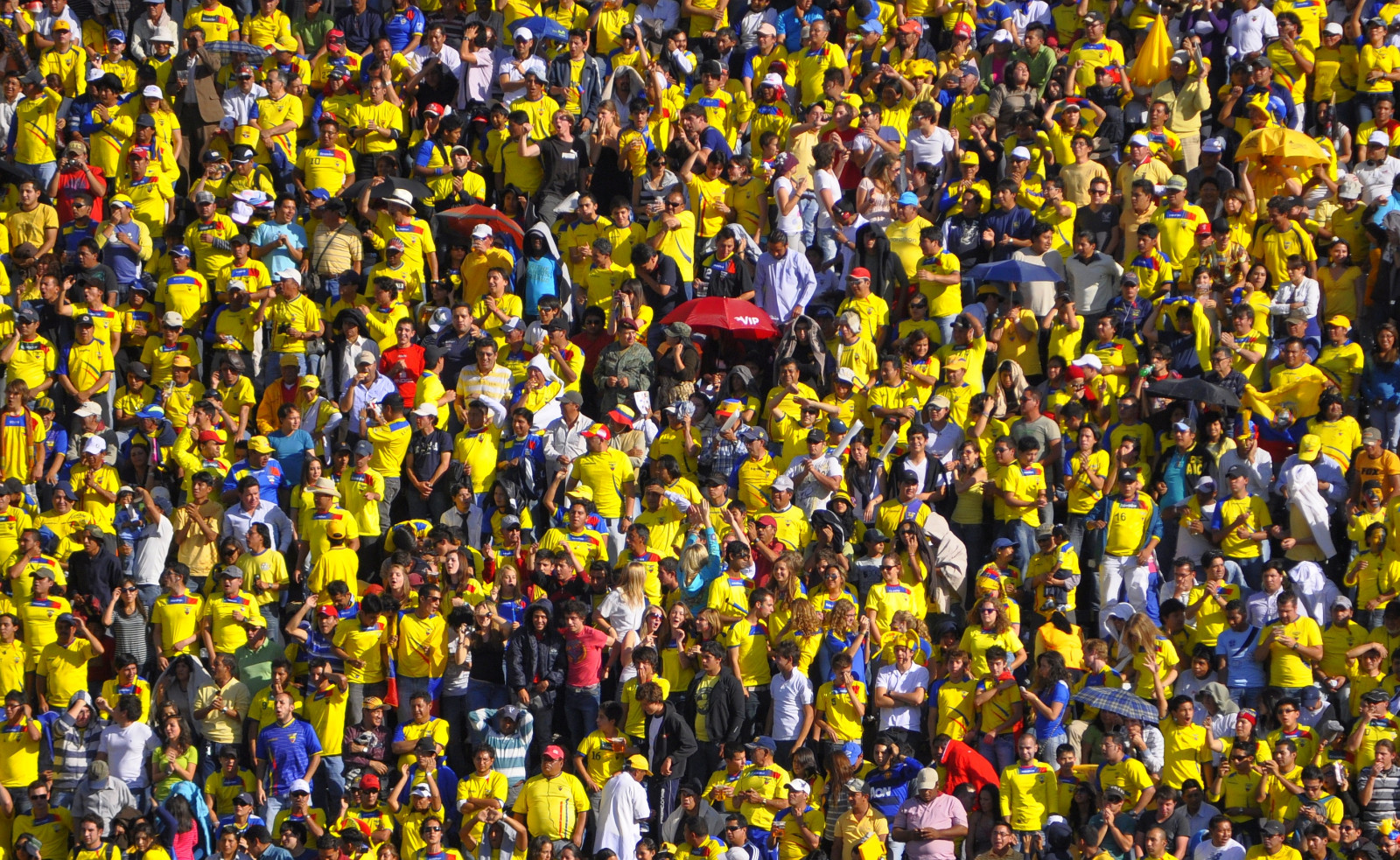 sport, mennesker, græs, gul, hold, verden, fodbold, stadion, Ecuador, publikum, struktur, arena, mesterskab, menneskemængde, ventilator, rekreation, spiller, sport mødested, produkt, konkurrence begivenhed, jublende, holdsport, futbol, Olimpico, Estadio, Atahualpa, eliminatorias, public event, multi sport event