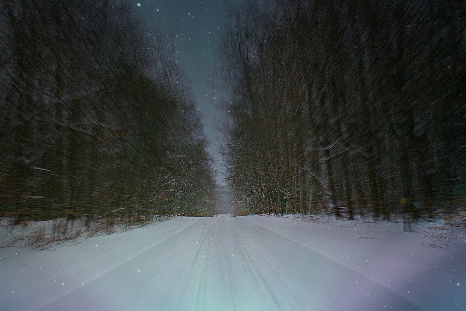 Wallpaper sunlight, forest, night, hill, outdoors, snow, stars