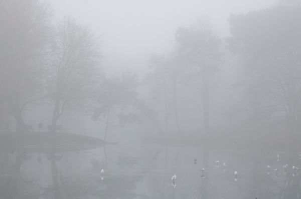 water,reflection,snow,mist,atmosphere,Freezing