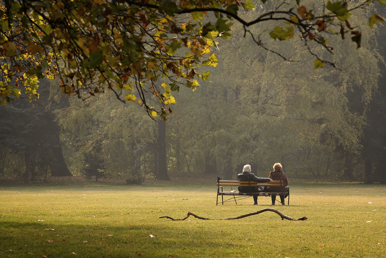 แสงแดด, แนวนอน, ตก, น้ำ, ธรรมชาติ, หญ้า, ท้องฟ้า, จอด, ฟิลด์, สาขา, สีเขียว, สีเหลือง, ตอนเย็น, เช้า, ม้านั่ง, มิตรภาพ, ฤดูใบไม้ผลิ, บูดาเปสต์, ฮังการี, ต้นไม้, ฤดูใบไม้ร่วง, ใบไม้, ทุ่งหญ้า, ปลูก, ทุ่งเลี้ยงสัตว์, ทุ่งหญ้า, nikonstunninggallery, theperfectphotographer, ไชโย, ช่างภาพเพชร, การพักผ่อนหย่อนใจ, flickrelite, สนามหญ้า, infinestyle, fiveflickrfavs, ไม้ยืนต้น, ผลัดใบ, canon350d, Papir, margitsziget, Margaretisland