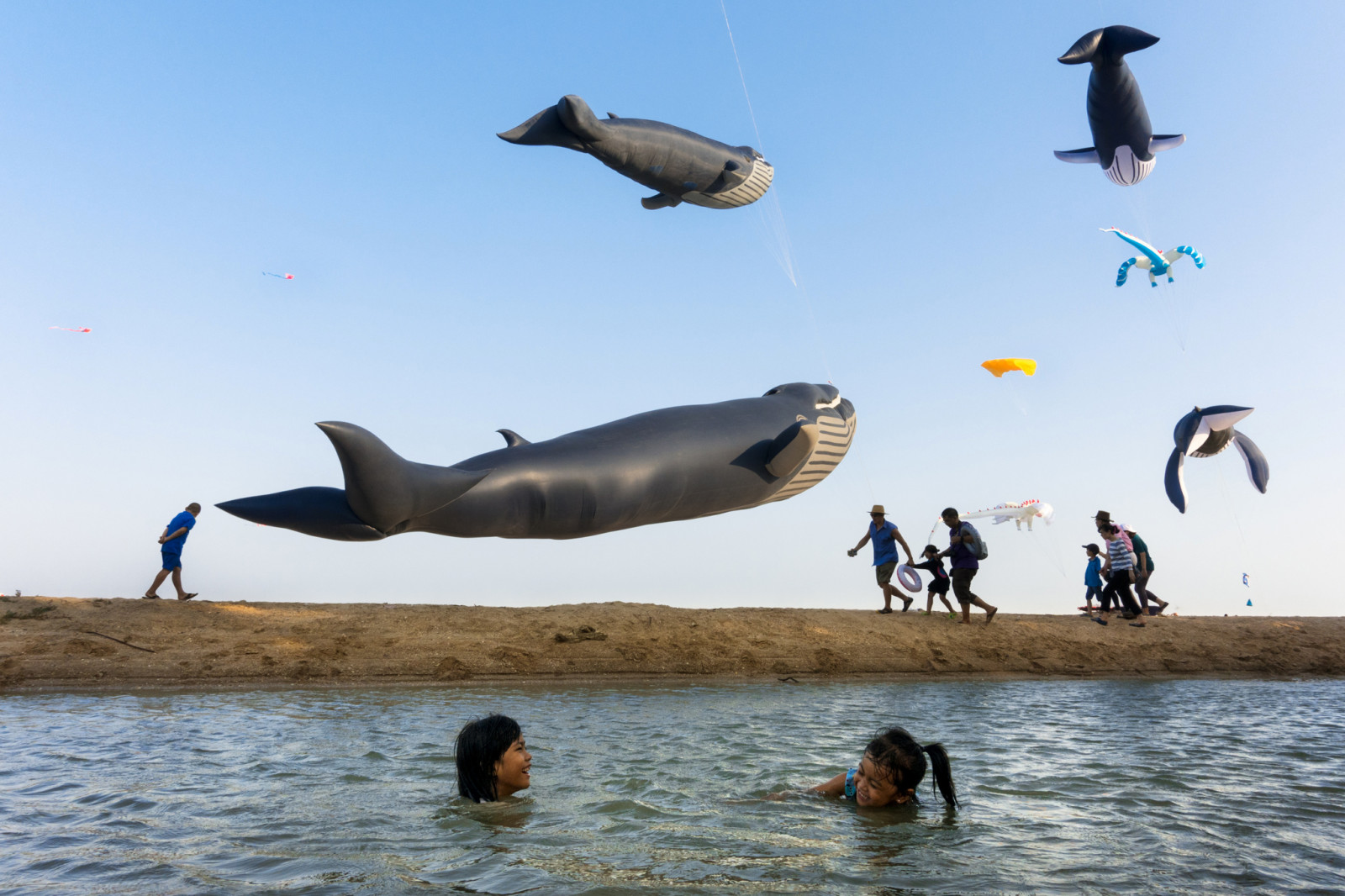 sen, pláž, moře, dítě, děti, modrý, žlutý, třídaFoto, Thajsko, velryba, letící, tavepong, festival, písek, papírový drak, stín, voda, Phetchaburi