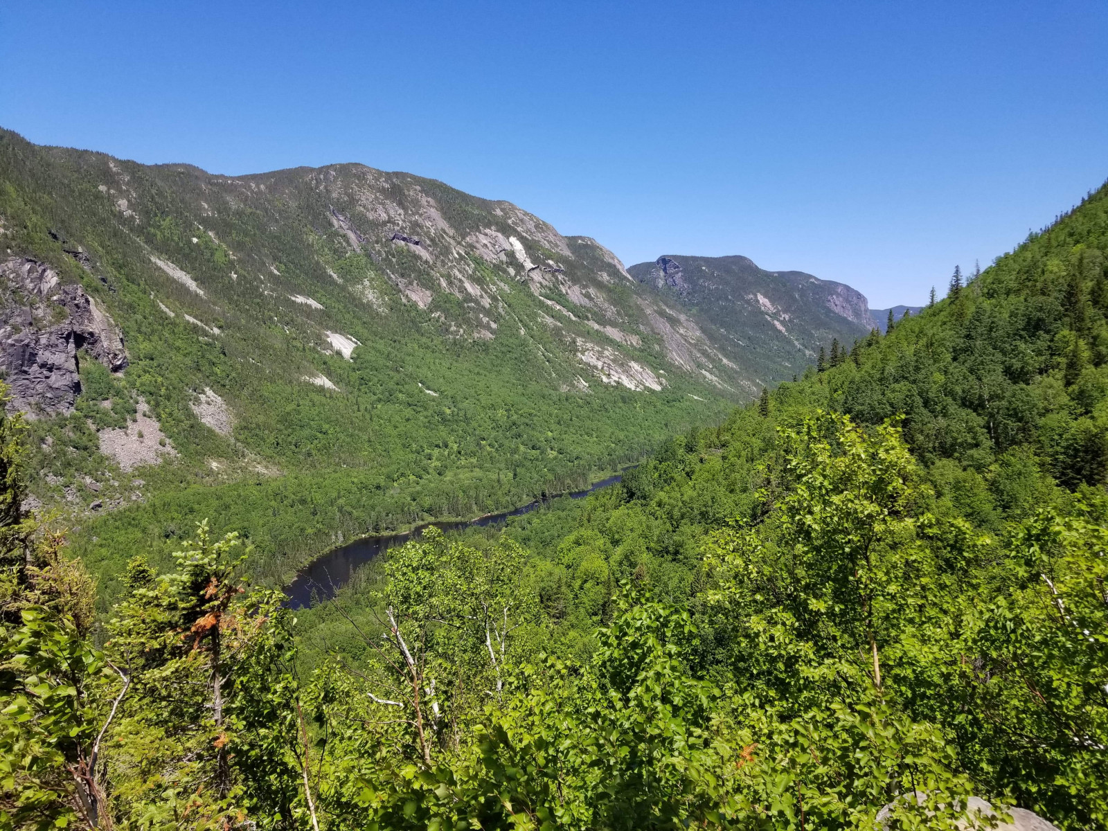 cielo, pianta, montagna, plant community, Natural landscape, pendenza, Terreno, erba, morfologie montane, prateria, groundcover, prato, albero, paesaggio, catena montuosa, collina, valle, foresta temperata, foresta, altopiano, Massiccio, strada, giungla, pascolo, cresta, shrubland, Chaparral, tropical and subtropical coniferous forests, scarpata, pista, spruce fir forest, roccia, valdivian temperate rain forest, batholith, Arete, foresta pluviale, Fiore di campo, Northern hardwood forest, conifera, vecchia foresta di crescita, arbusto, piantagione, vertice, burrone, Passo di montagna, temperata foresta di conifere
