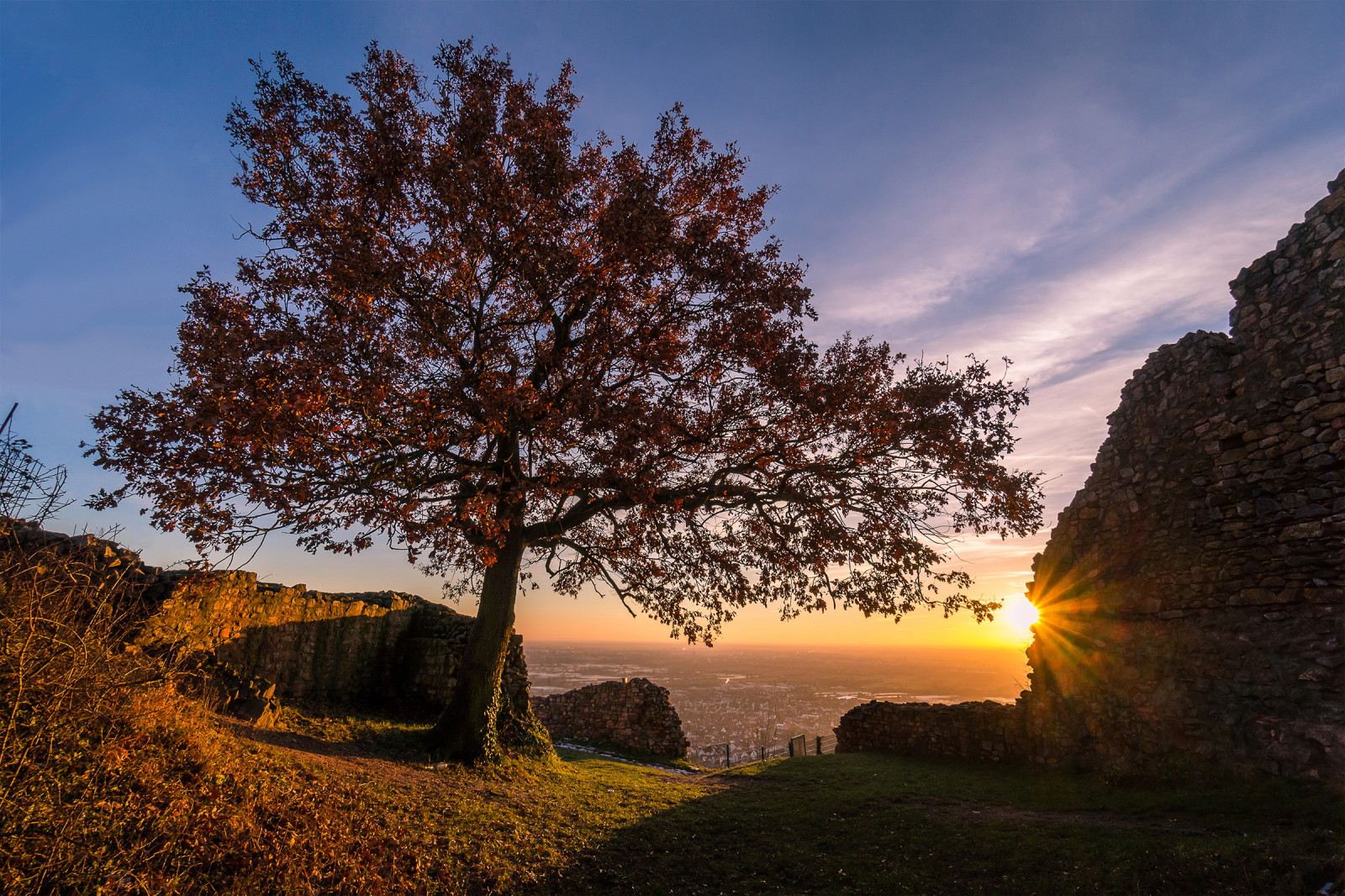 slunečnímu záření, krajina, západ slunce, kopec, Příroda, zřícenina, svítání, večer, ráno, Německo, slunce, soumrak, 2015, strom, podzim, list, hora, květ, svítání, rostlina, sezóna, zřícenina, sonnenuntergang, baum, sonynexf3, venkov, atmosférický jev, dřevina, Dossenheim, Schauenburg
