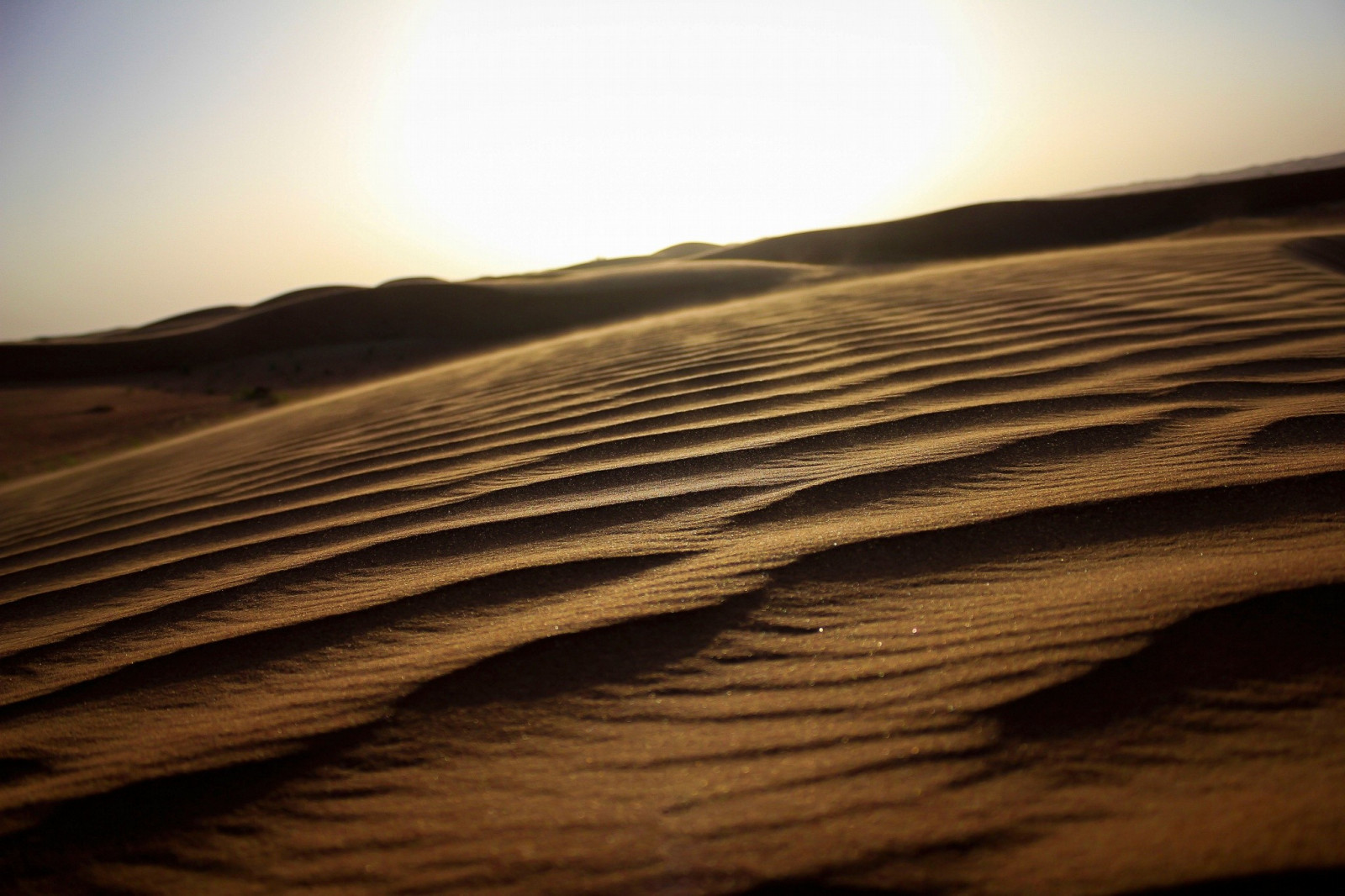 landskab, sand, skygge, ørken, horisont, klit, Sahara, dannelse, materiale, levested, naturligt miljø, landskabsform, geografisk funktion, wadi, Lipariske landskabsform, erg