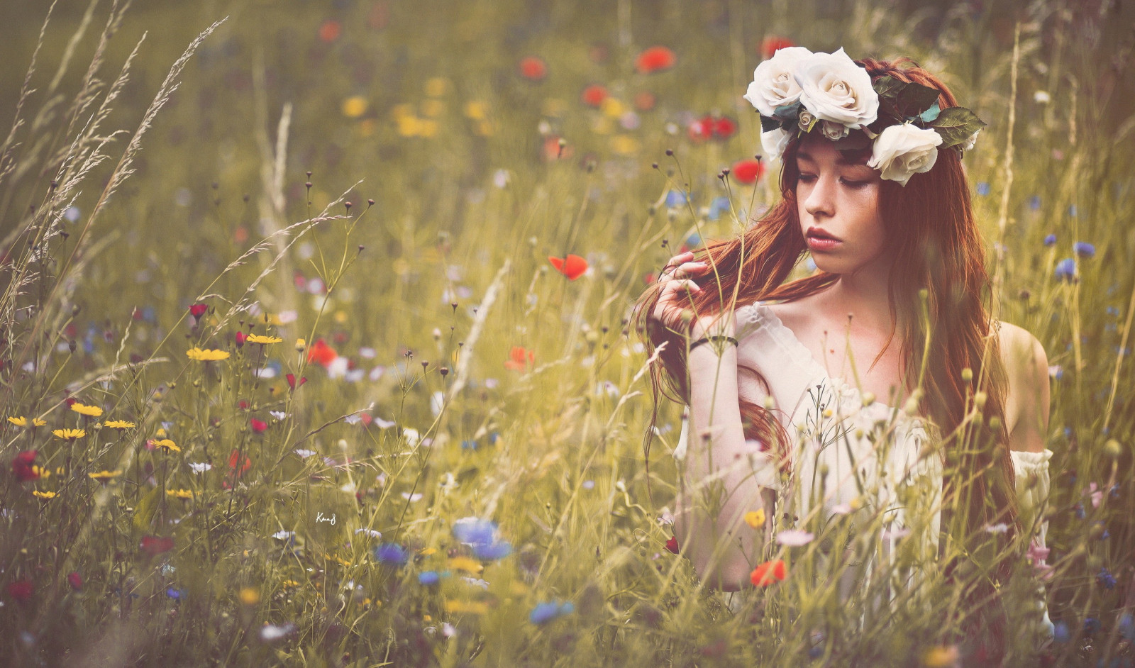 slunečnímu záření, ženy, květiny, tráva, jaro, podzim, květ, rostlina, krása, sezóna, flóra, louka, místo výskytu, přírodní prostředí