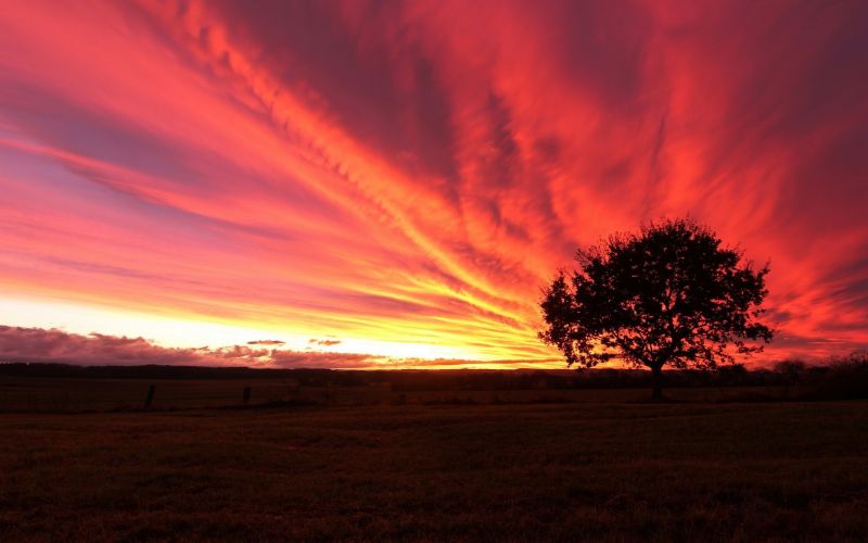 zonlicht, bomen, landschap, zonsondergang, hemel, planten zonlicht, bomen, landschap, zonsondergang, hemel, planten