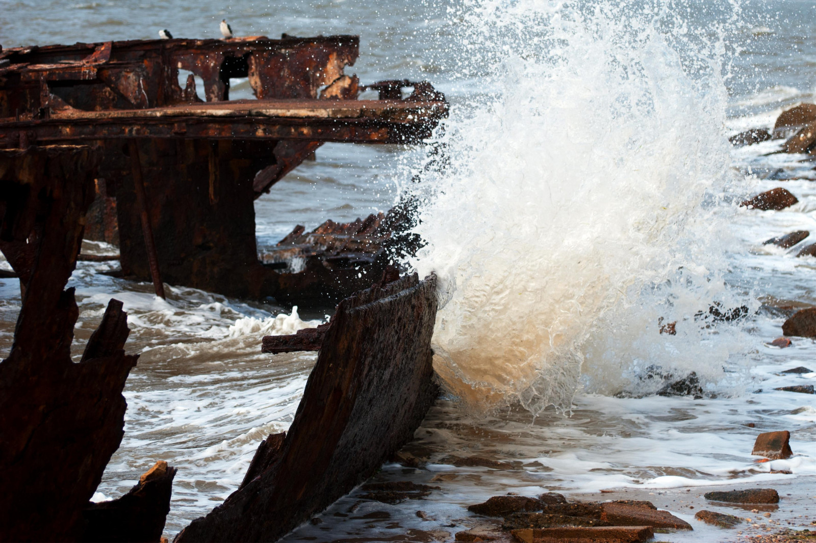 voda, pobřeží, loď, Austrálie, spěch, queensland, přes, kaluž, Redcliffe, vrak, Woodypoint