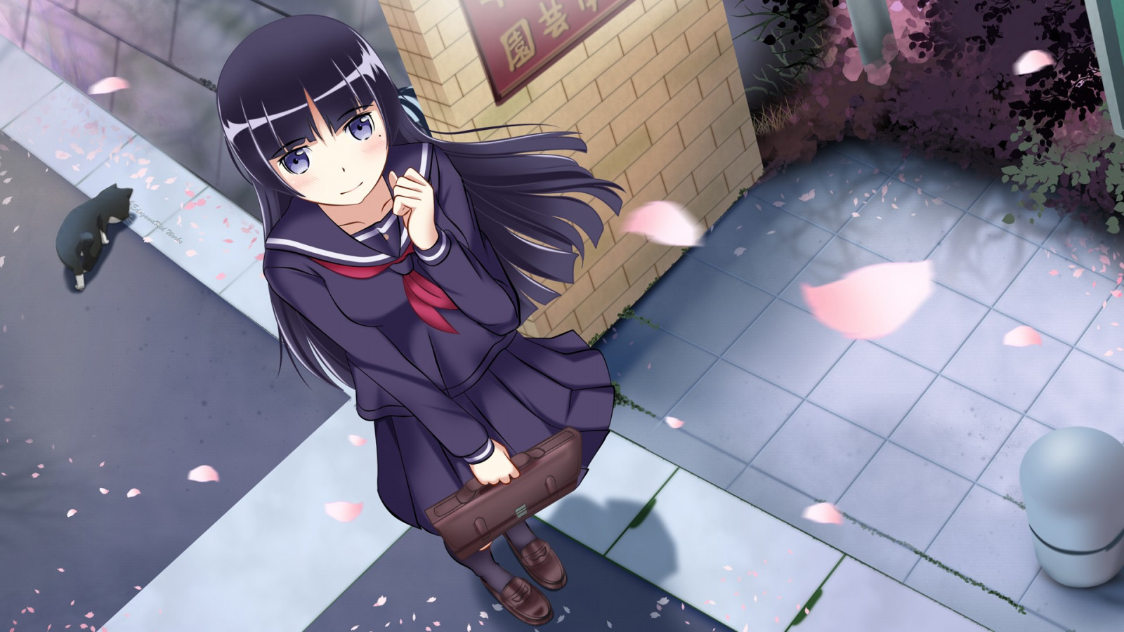 デスクトップ壁紙 ネコ アニメの女の子 学生服 女子高生 ゴコウリ コスチューム スクリーンショット 19x1080 Sweetcandy94 デスクトップ壁紙 Wallhere