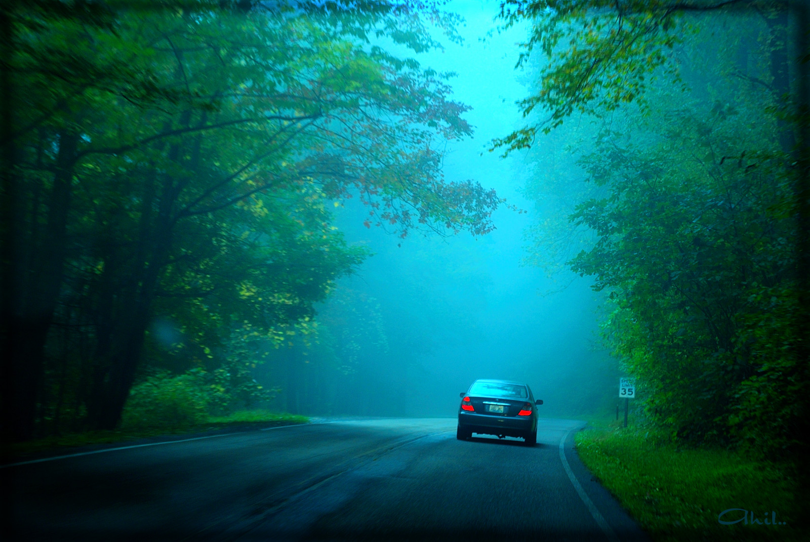 slunečnímu záření, les, temný, noc, Příroda, auto, silnice, zelená, ráno, mlha, měsíční svit, atmosféra, Nikon, jitřenka, světlo, mlha, počasí, prozkoumal, dSLR, tma, Snímek obrazovky, místo výskytu, přírodní prostředí, atmosférický jev, počítač tapeta, D60, Gatlinburg, Smokies, ahilan, ahil, idyllicpixelscomnature