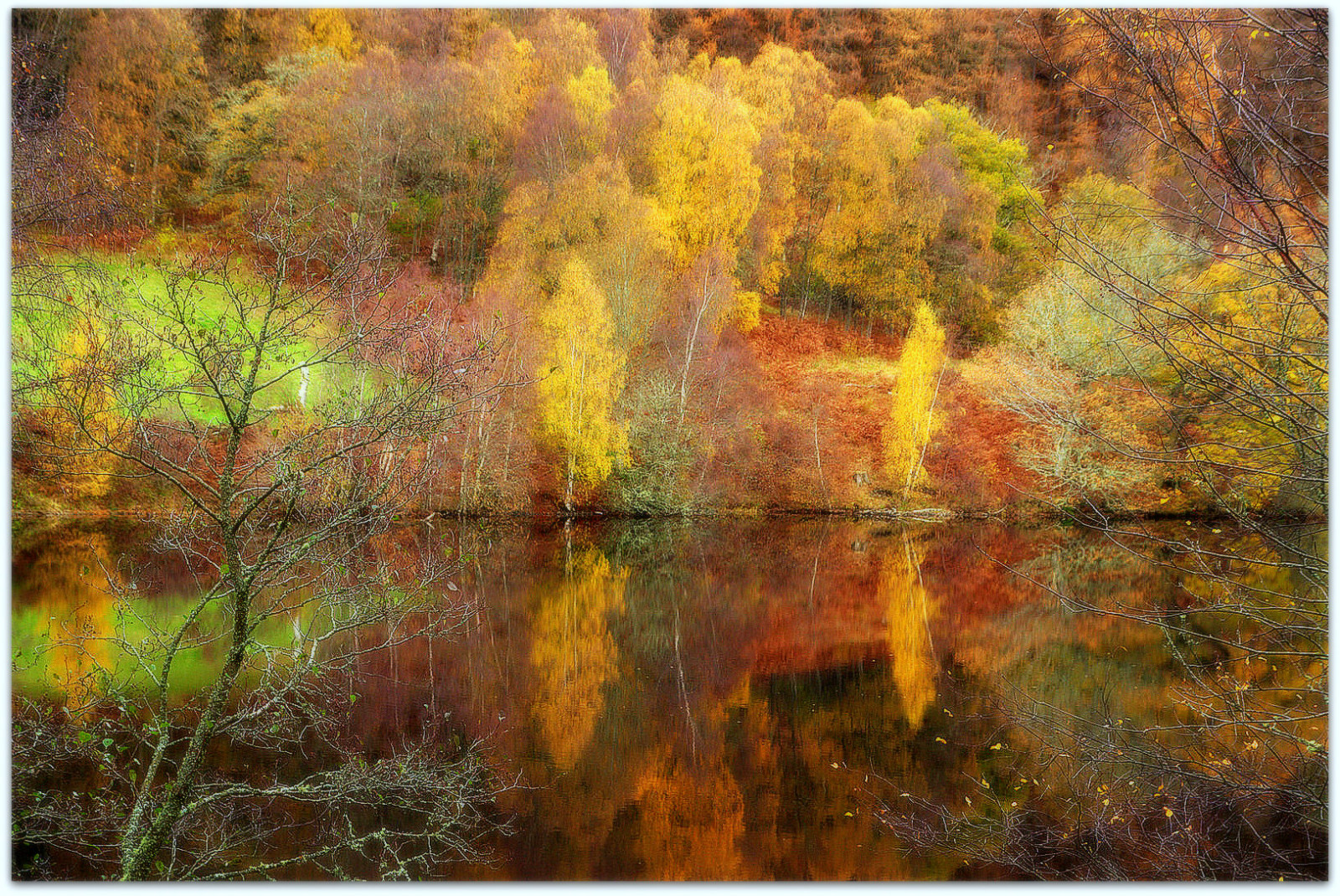 stromy, malování, les, Skotsko, textura, chůze, mokřadní, strom, podzim, list, sezóna, coth5, zálesí, dundee, Pitlochry, Loch Tummel, ericrobbniven, birchtrees, pentaxk50, místo výskytu, přírodní prostředí, moderní umění, impresionista