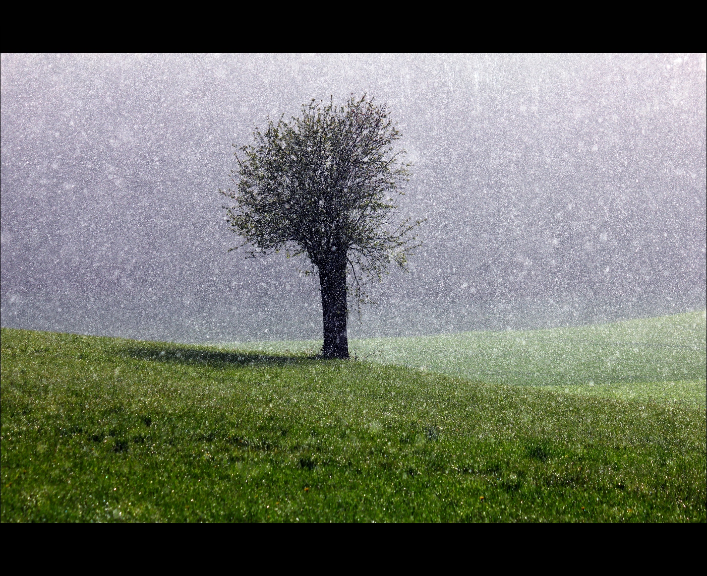 slunečnímu záření, les, voda, tráva, déšť, pole, zelená, ráno, vítr, jaro, čerstvý, Serres, strom, list, počasí, rostlina, Sluneční svit, louka, trávník, půda, atmosférický jev, dřevina, srážky, strohg u, m nsheim, skubmic, iptingen