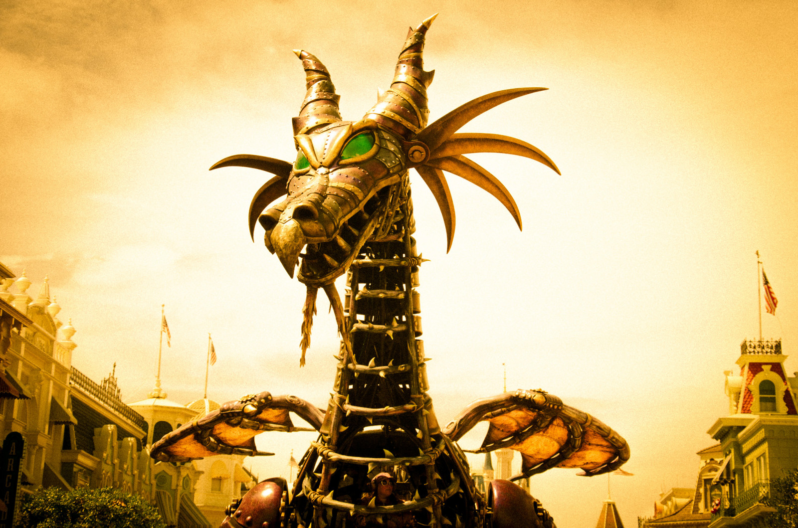 arecales, palma, strom, nebe, rostlina, počítač tapeta