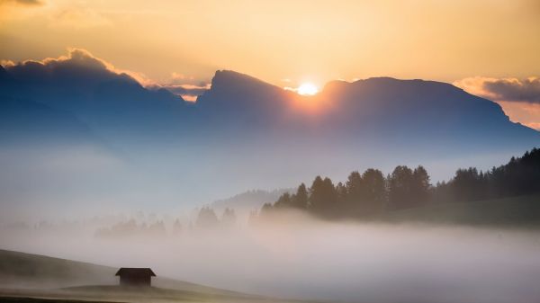 trees, landscape, mountains, sunset, sunlight, forest