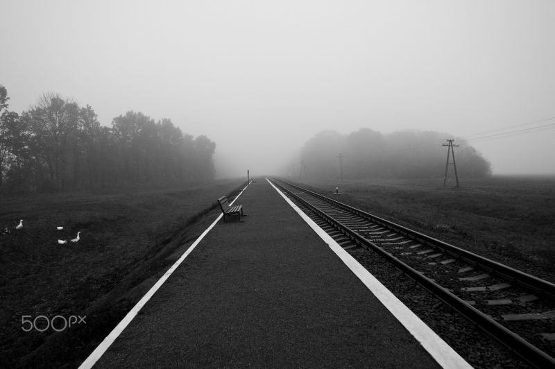 černobílý, Příroda, silnice, ráno, mlha, fotografování černobílý, Příroda, silnice, ráno, mlha, fotografování