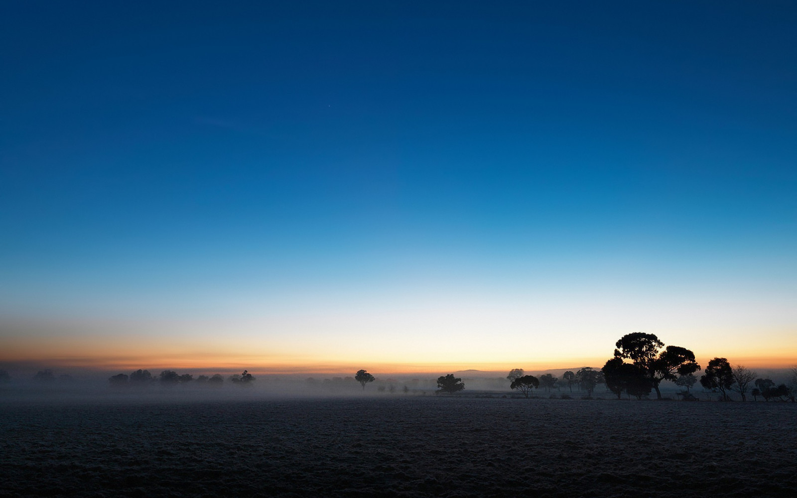 แสงแดด, ต้นไม้, แนวนอน, พระอาทิตย์ตก, ทะเล, ธรรมชาติ, ทราย, ท้องฟ้า, ฟิลด์, การถ่ายภาพ, ชายหาด, พระอาทิตย์ขึ้น, ตอนเย็น, เช้า, หมอก, ชายฝั่ง, ดวงอาทิตย์, ขอบฟ้า, พลบค่ำ, เมฆ, รุ่งอรุณ, มหาสมุทร, สภาพแวดล้อมทางธรรมชาติ, ปรากฏการณ์บรรยากาศ, สายัณห์