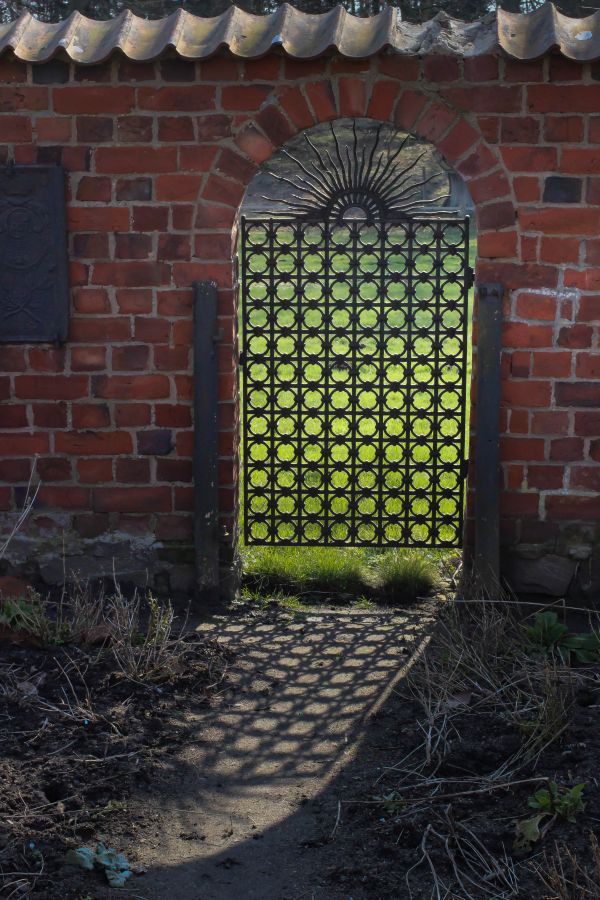 window,garden,shadow,wall,house,green