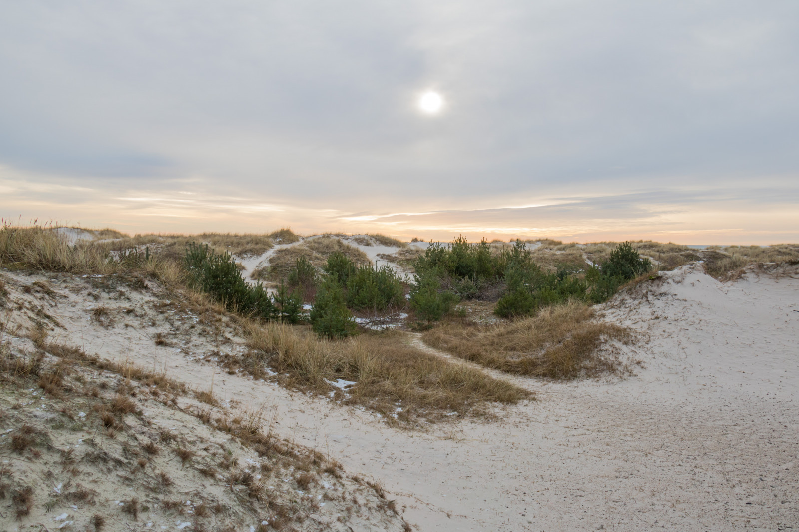 paesaggio, mare, collina, puntellare, sabbia, la neve, inverno, spiaggia, mattina, costa, duna, altopiano, nube, montagna, tempo metereologico, onda, filo, Vinter, HAV, Sterlen, Materiale, kust, Sandhammar, habitat, ambiente naturale, landform, landform Eolie