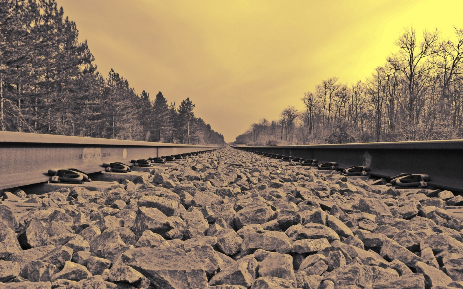 1920x1200 px, landscape, nature, photography, railway, trees