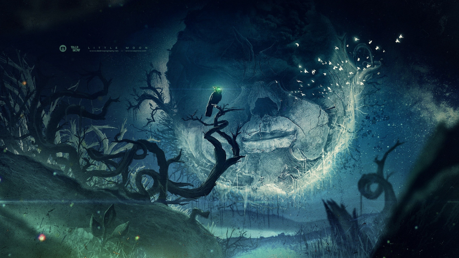 Gesicht, digitale Kunst, Fantasiekunst, Mond, Nebel, Rabe, Unterwasser, Tauben, Desktopografie, Geisterschiff, Valpnow, Dunkelheit, Bildschirmfoto, Computer-Tapete, Spezialeffekte, Weltraum