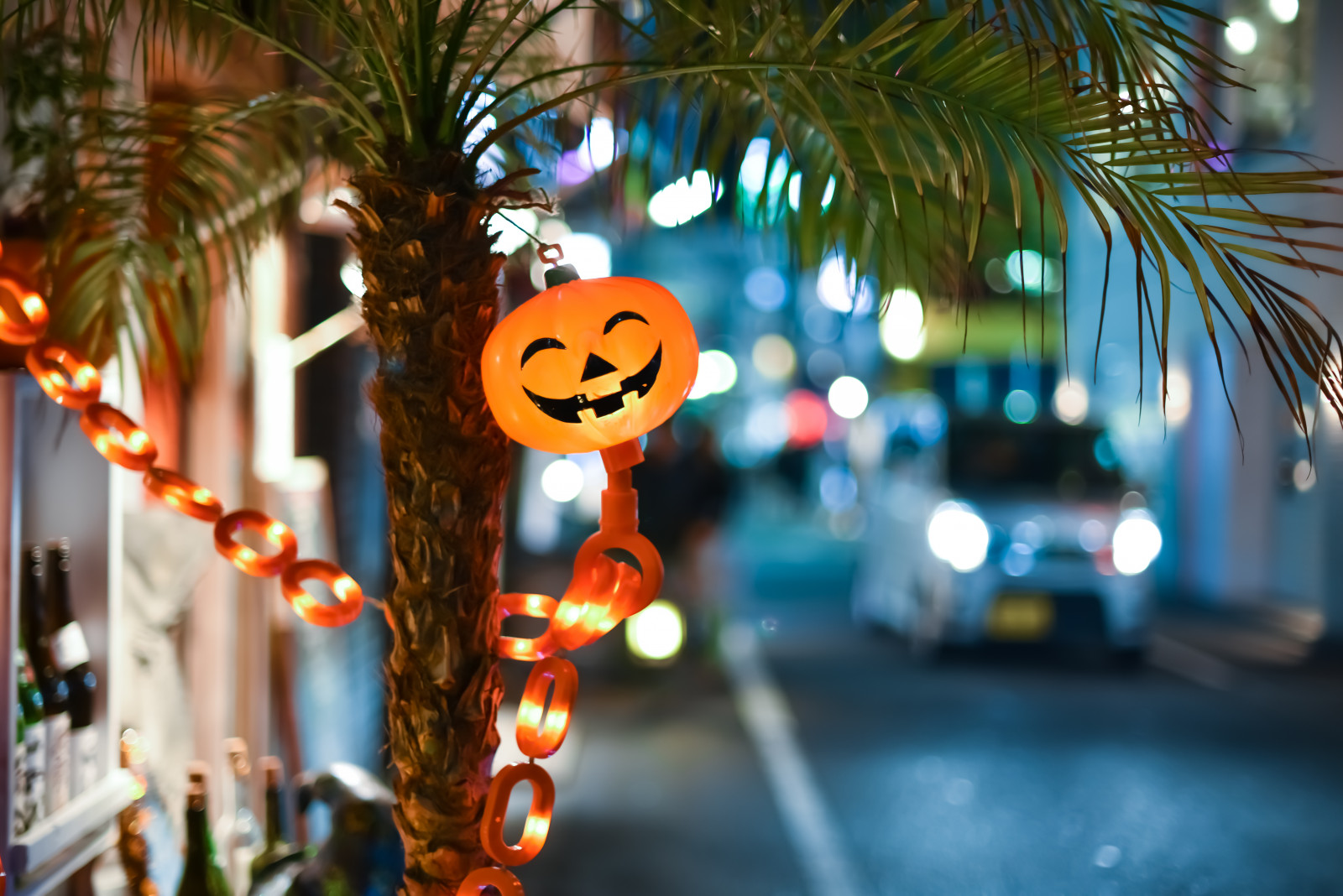 vánoční dekorace, strom, Vánoce, Dovolená, rostlina, událost, Vánoční osvětlení, palma, noc