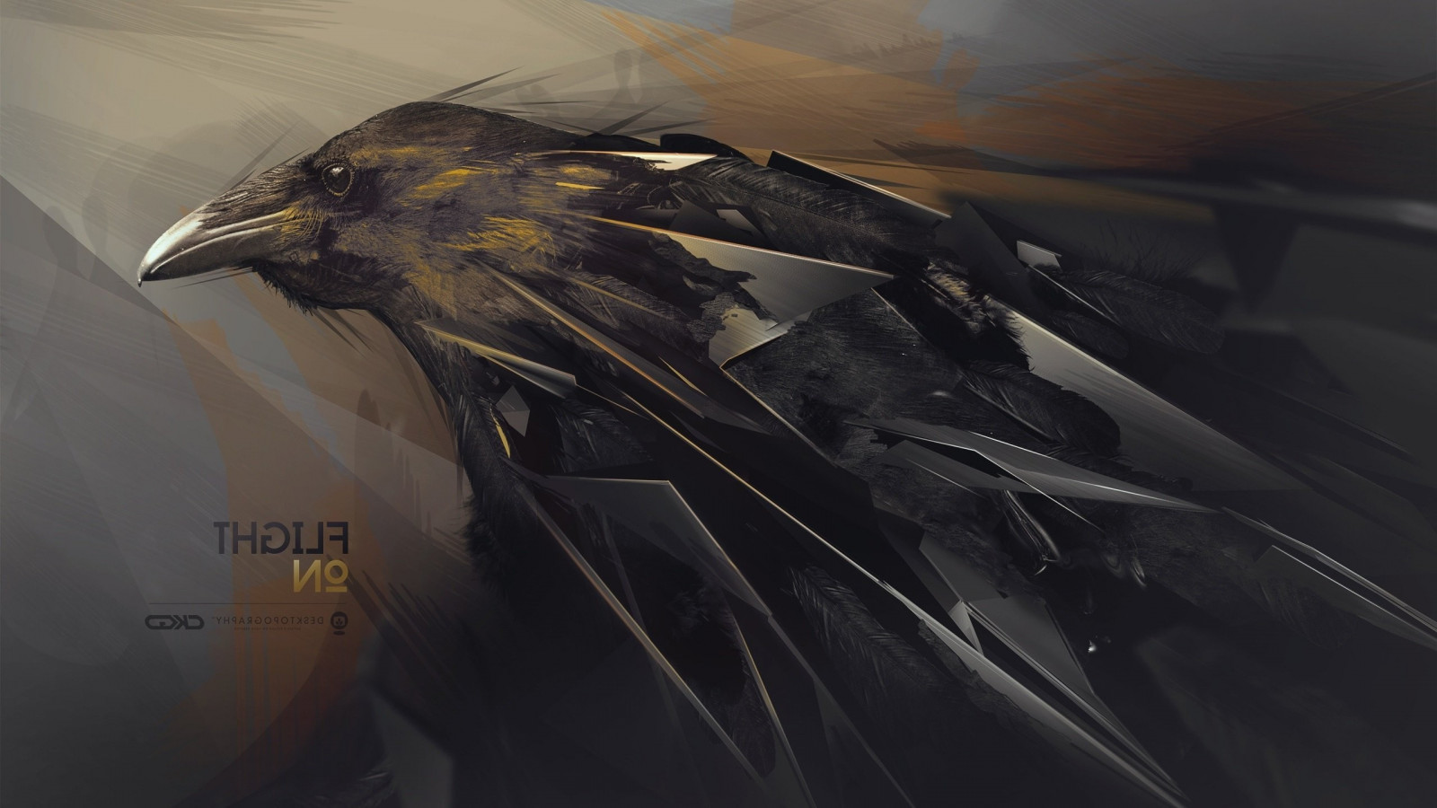 ptactvo, zvěř, letoun, text, peří, Havran, Desktopography, Let, pták, křídlo, Snímek obrazovky, 2560x1440 px, počítač tapeta, Atmosféra Země, prohlížení pták