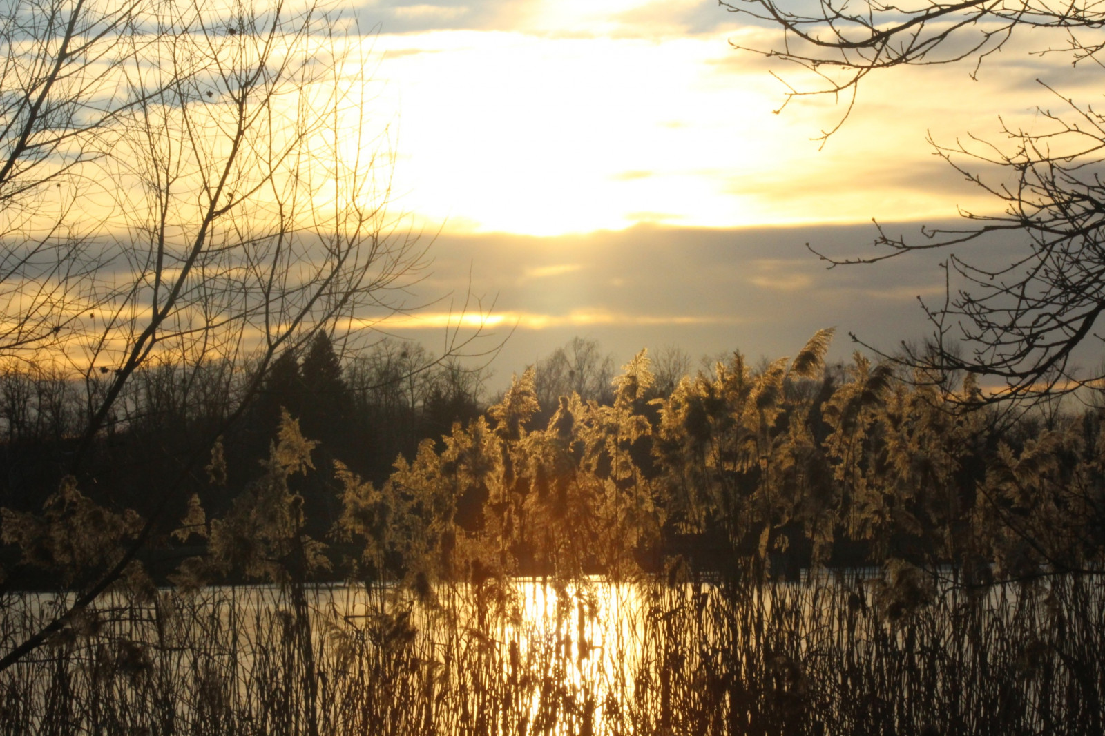 slunečnímu záření, krajina, západ slunce, jezero, Příroda, odraz, tráva, zima, větev, svítání, večer, ráno, řeka, slunce, divočina, soumrak, Maďarsko, rákosí, Zala, Zalaegerszeg, mrak, strom, podzim, list, svítání, sezóna, venkov, atmosférický jev, dřevina, tráva rodina