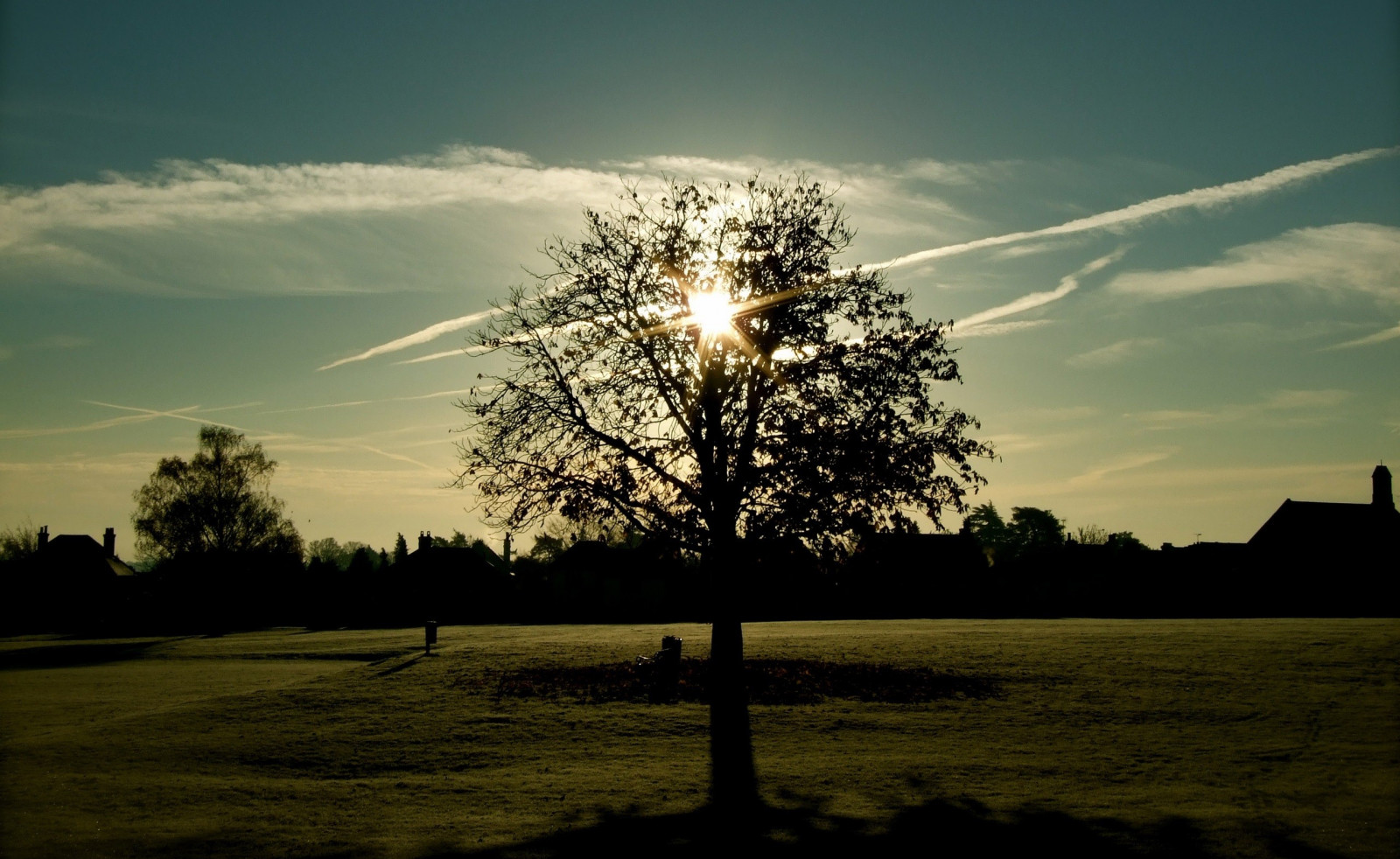 slunečnímu záření, stromy, západ slunce, Příroda, odraz, tráva, nebe, fotografování, svítání, večer, ráno, slunce, horizont, atmosféra, soumrak, mrak, strom, květ, svítání, rostlina, atmosférický jev, dřevina, arecales