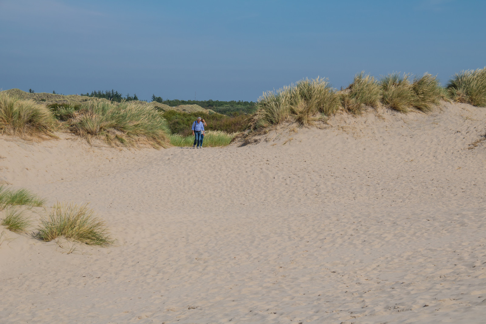 krajina, moře, písek, pláž, pobřeží, duna, Dánsko, Danmark, materiál, Skagen, bunkenklitplantage, r bjergmile, Jylland, sanddyn, migratingcoastaldune, půda, místo výskytu, přírodní prostředí, landform, geografický rys, ekosystém, vádí, Liparské landform