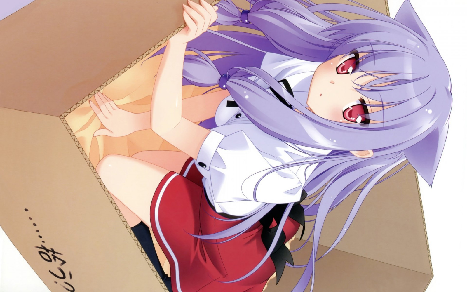 illustration, anime, tegneserie, Mayoi Neko Overskridelse, pige, boks, positur, mangaka, Nozomi Kiriya