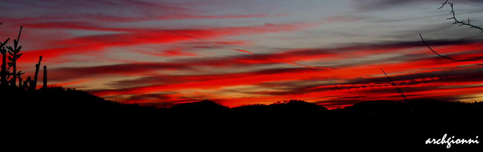 ต้นไม้, ดำ, พระอาทิตย์ตก, อิตาลี, ธรรมชาติ, สีแดง, ท้องฟ้า, เมฆ, พระอาทิตย์ขึ้น, เส้นขอบฟ้า, ตอนเย็น, ดวงอาทิตย์, บรรยากาศ, พลบค่ำ, Tramonto, เบา, เมฆ, รุ่งอรุณ, อิตาลี, Cielo, เพียงผู้เดียว, Rosso, Nero, natura, Luce, อัลเบอร์รี่, nuvole, skytheme, rotrossorougerood, สายัณห์, ท้องฟ้าสีแดงตอนเช้า