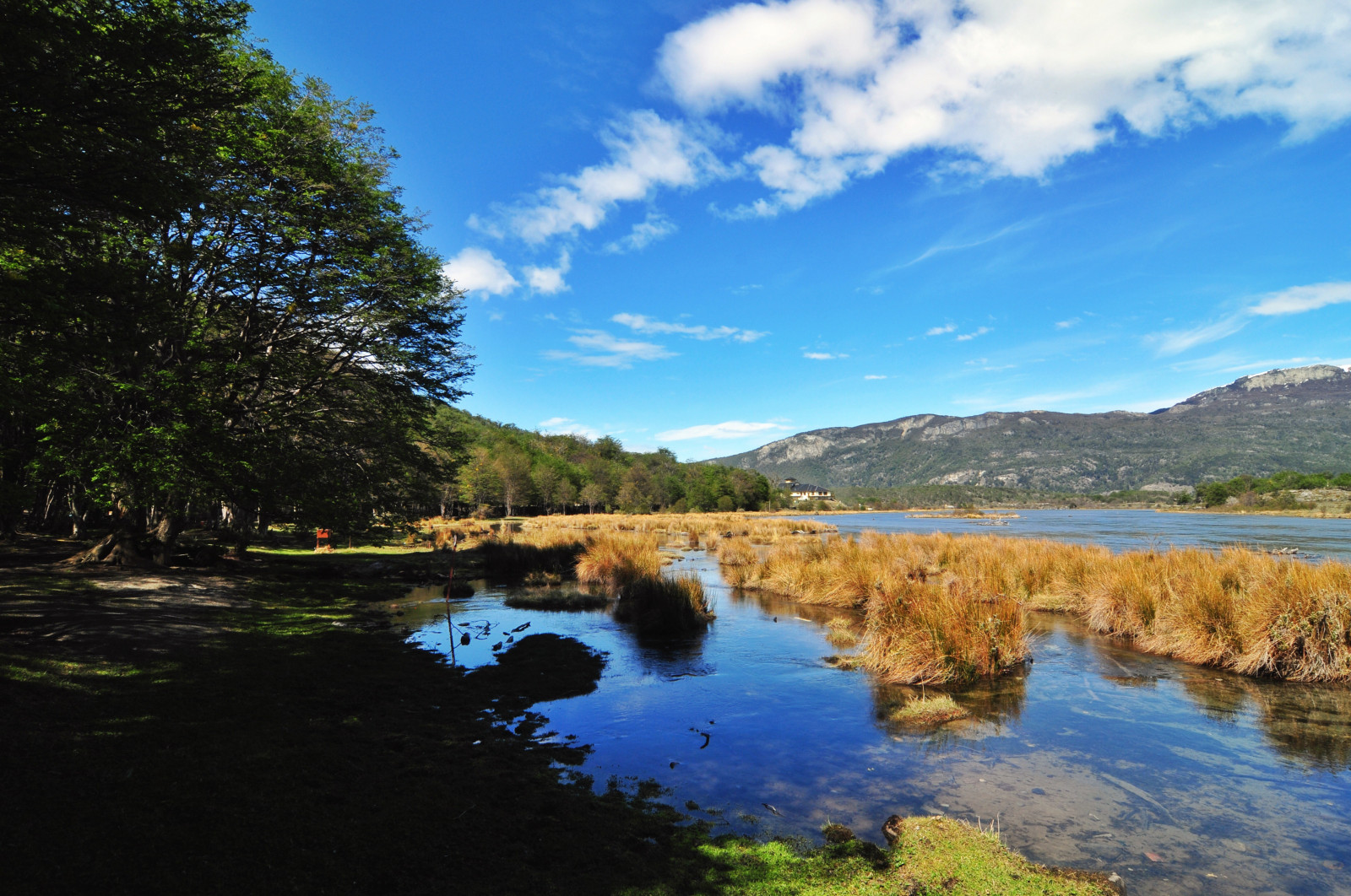 krajina, jezero, voda, Příroda, odraz, mraky, řeka, slunce, Nikon, divočina, 2013, Argentina, mokřadní, strom, podzim, mygearandme, nádrž, Snapseed, D300S, tierra, jezero, vodní, landform, geografický rys, tělo z vody, ushuaia, fuego