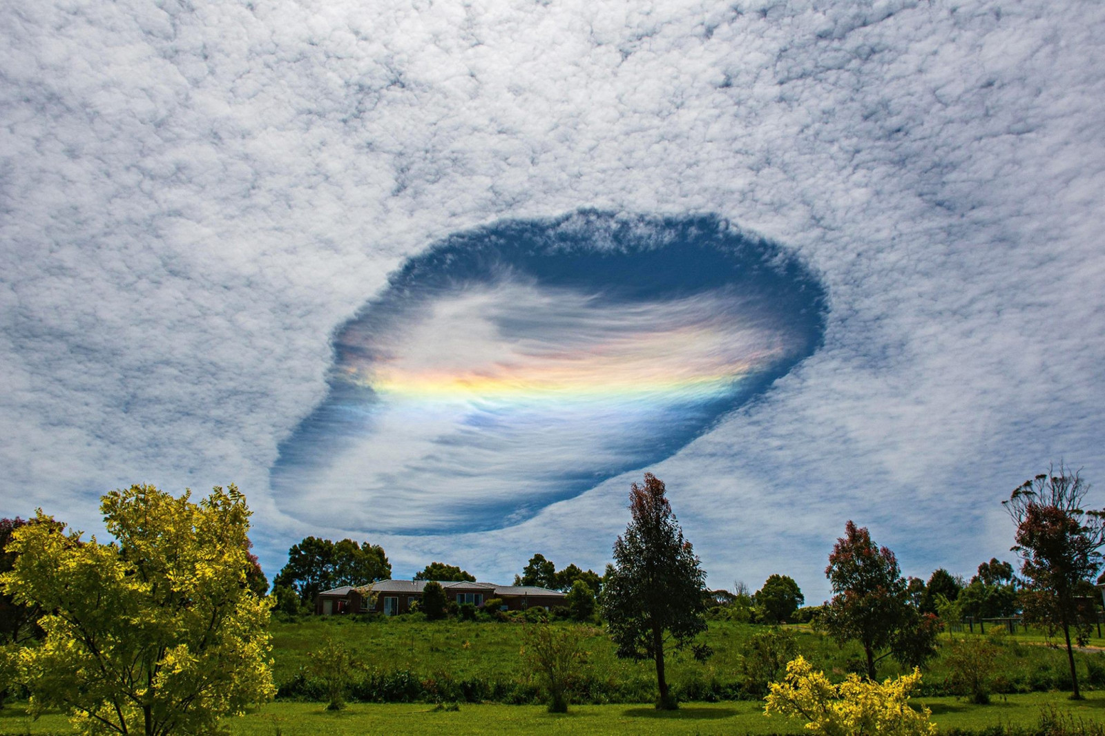 slunečnímu záření, stromy, krajina, Příroda, tráva, nebe, pole, mraky, Dům, horizont, duhy, atmosféra, Austrálie, fallstreak hole, mrak, louka, prostý, prérie, venkov, Atmosféra Země, meteorologický jev, kupa