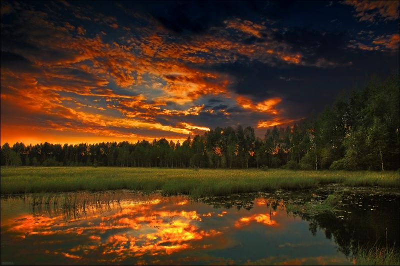 trees, landscape, sunset, lake, nature, reflection trees, landscape, sunset, lake, nature, reflection
