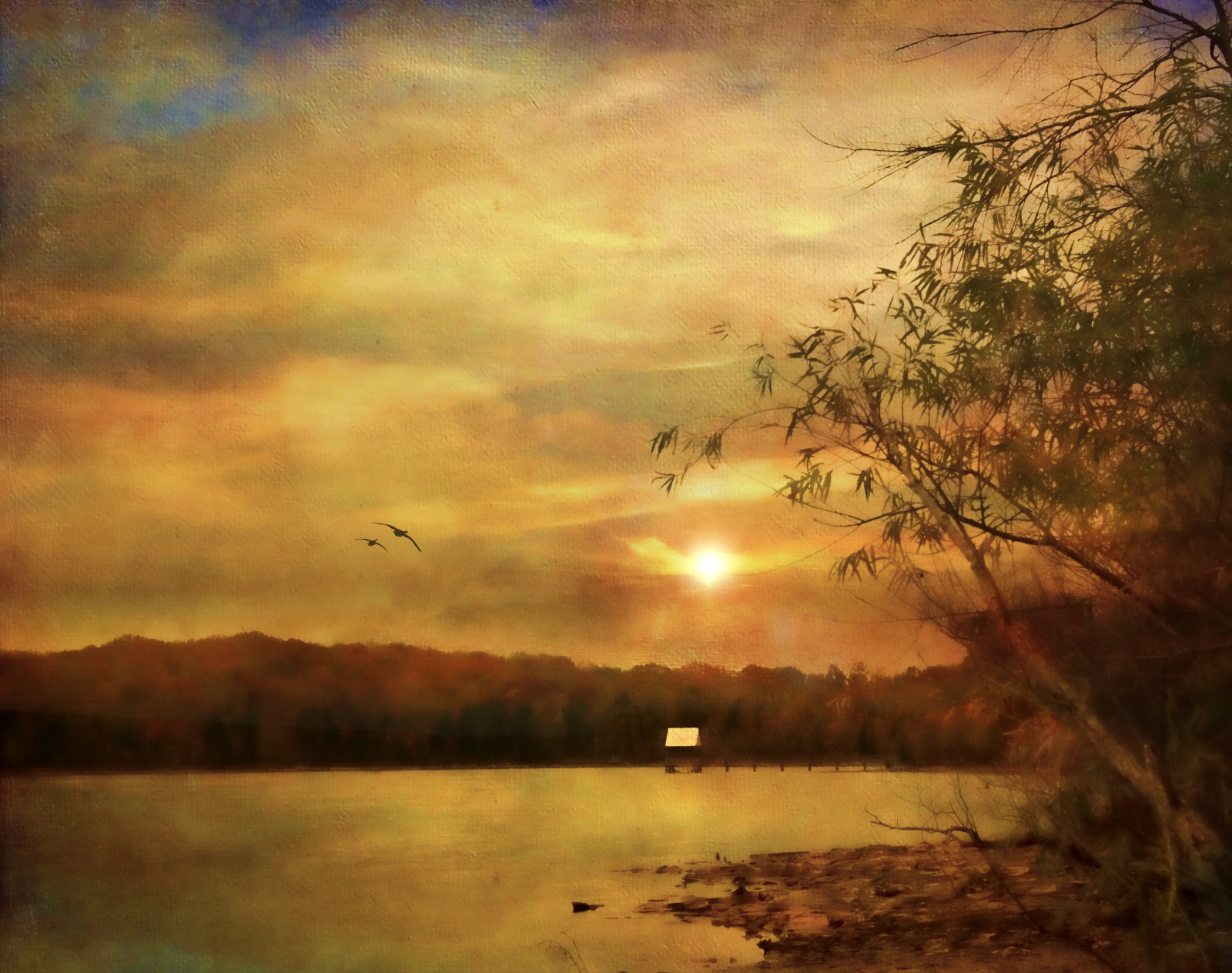 แสงแดด, ต้นไม้, แนวนอน, จิตรกรรม, Photoshop, นก, พระอาทิตย์ตก, ทะเลสาบ, น้ำ, ธรรมชาติ, การสะท้อน, ท้องฟ้า, เมฆ, สาขา, พระอาทิตย์ขึ้น, เงียบสงบ, ตอนเย็น, เช้า, หมอก, แม่น้ำ, ดวงอาทิตย์, Canon, พื้นผิว, ขอบฟ้า, บรรยากาศ, ท่าเรือ, พลบค่ำ, ธนาคาร, เทนเนสซี, พื้นที่ชุ่มน้ำ, เมฆ, ต้นไม้, รุ่งอรุณ, พระอาทิตย์ตก, อ่างเก็บน้ำ, texturedlayers, jackaloha2, photoshopcs5, magicunicornverybest, ก, magicunicornmasterpiece, galleryoffantasticshots, ทะเลสาบ, kurtpeiserexcellence, photomix, bestevergoldenartists, วอลล์เปเปอร์คอมพิวเตอร์, สายัณห์, ท้องฟ้าสีแดงตอนเช้า, ปรากฏการณ์, canoneosdigitalrebelxsi, ที่ราบลุ่ม, longhunterstatepark