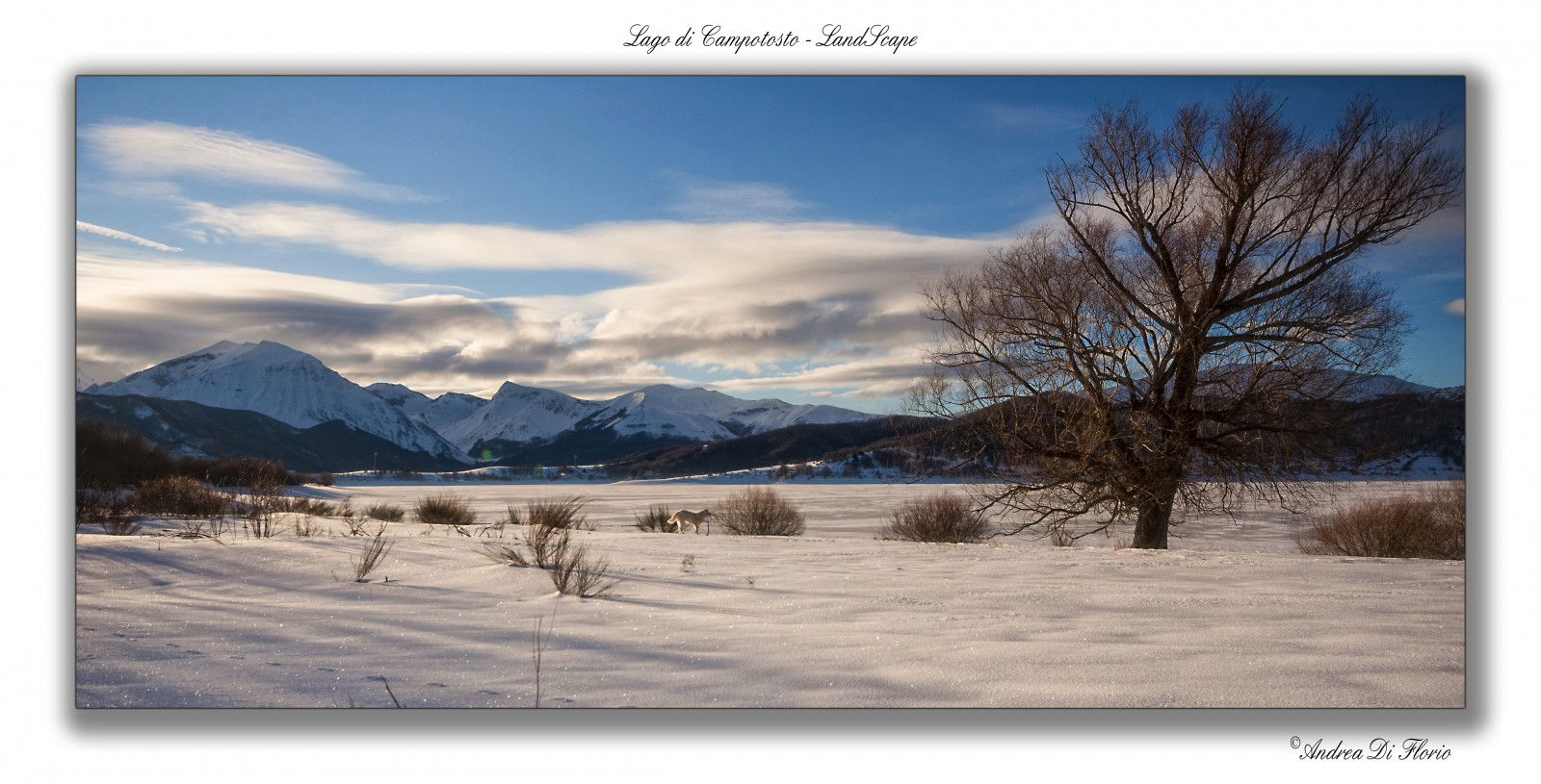 nebe, zima, Příroda, sníh, zmrazení, mrak, hora, strom, voda, odraz, jezero, krajina, tundra, jezero, pohoří, kopec, klesl, horizont, stock photography, mount scenérie